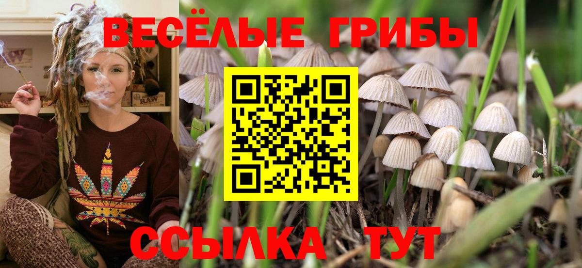Галлюциногенные грибы мицелий  Псилоцибиновые грибы GOLDEN TEACHER  Вход с VPN  Полысаево 