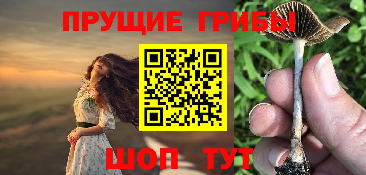 Псилоцибиновые грибы Magic Shrooms Полысаево